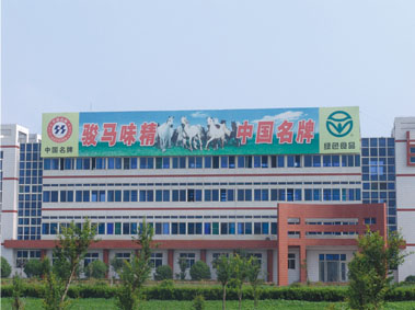 齊魯味精集團辦公大樓